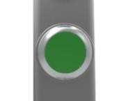 Fortress Interlocks TPG   Non Illuminating Push Button